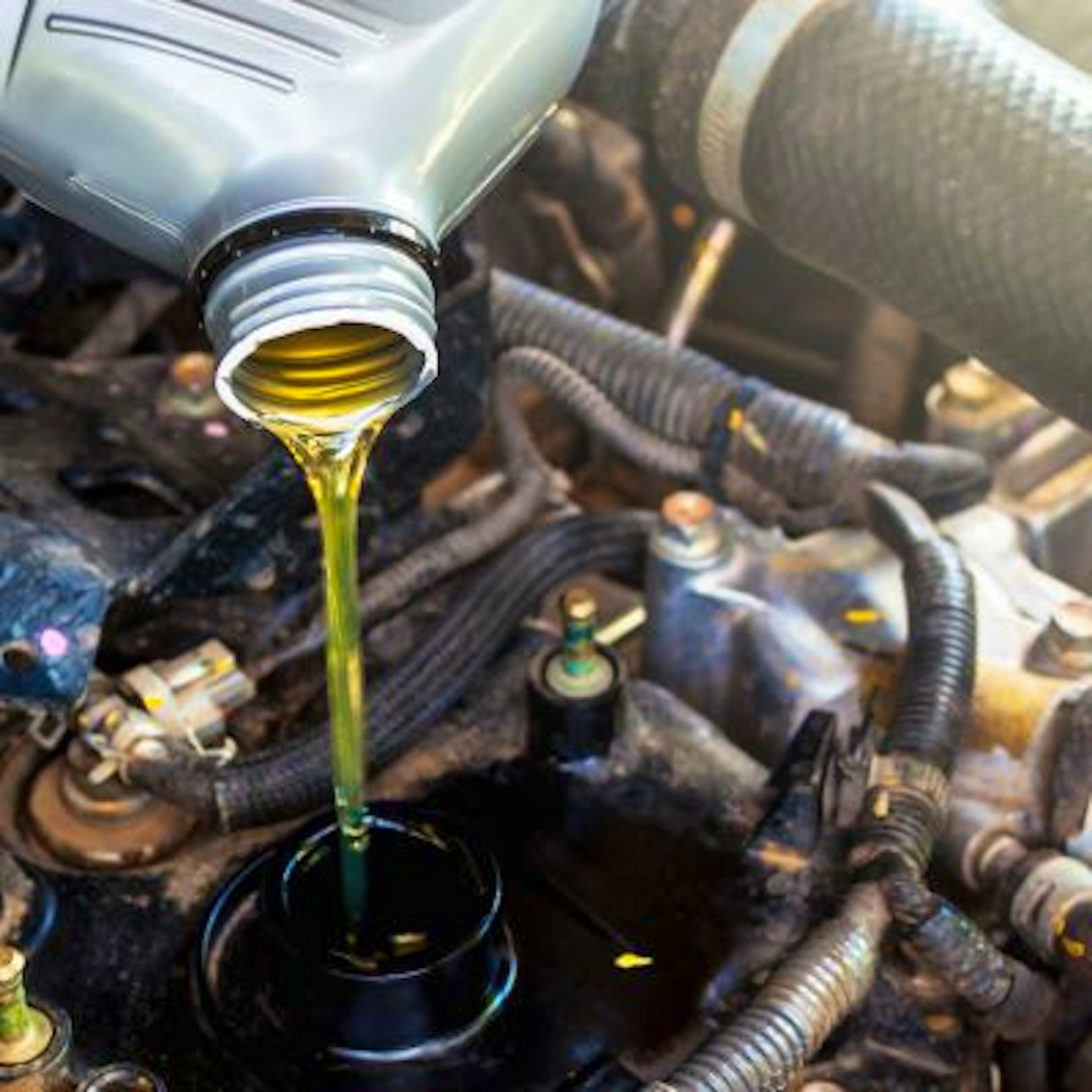 Révision Scenic 4 : quand la faire et à quel prix ?