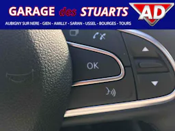 Renault Kadjar  1.5 BLUEDCi - 115 - BV EDC - INTENS occasion - Photo 24