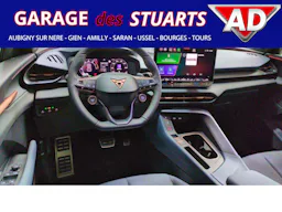 Cupra Terramar  1.5 16V eTSI Hybrid - 150 - BV DSG 7  V occasion - Photo 9