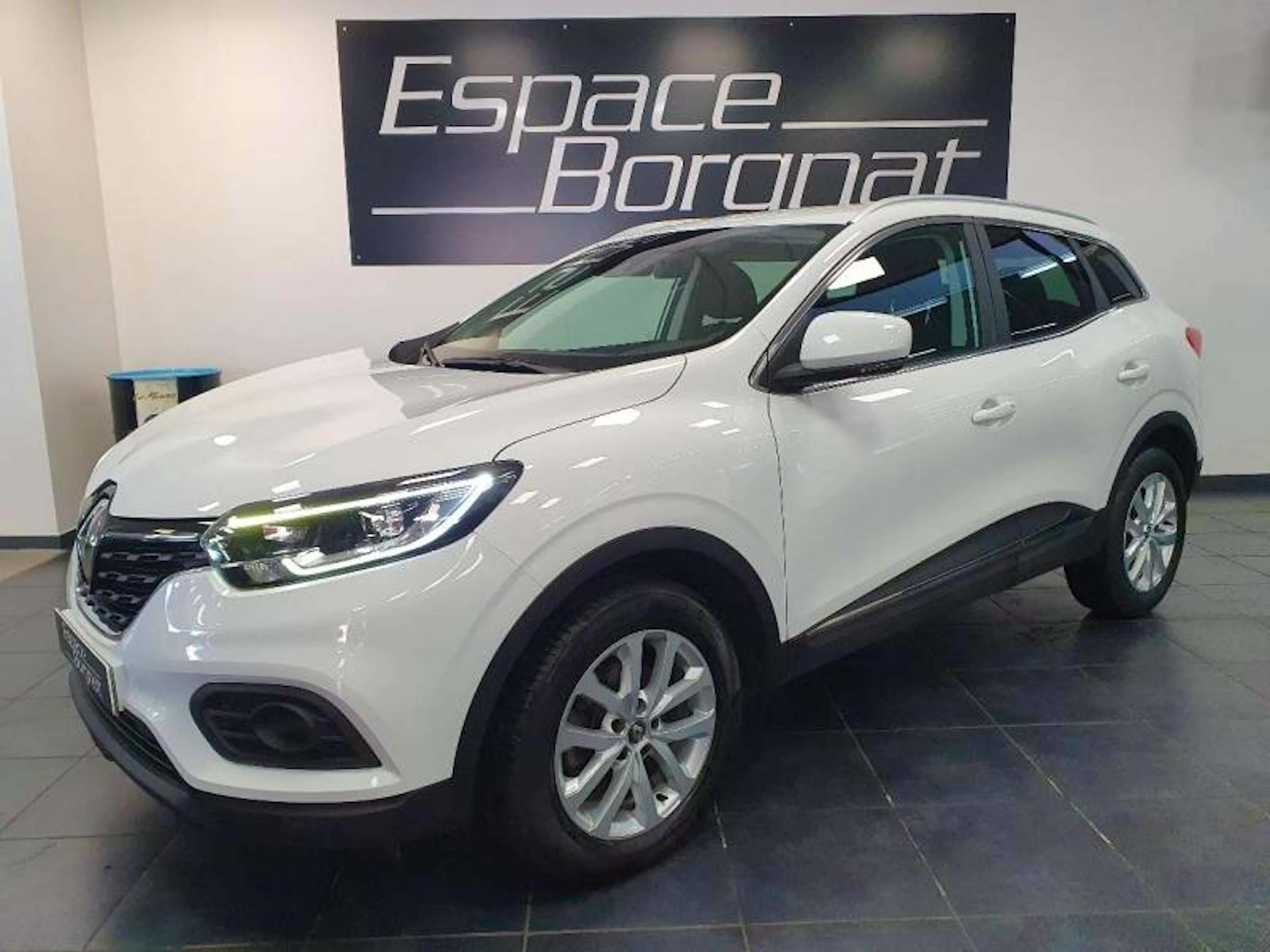 Renault Kadjar 1.5 Blue dCi 115ch Bussines//1ERE MAIN occasion