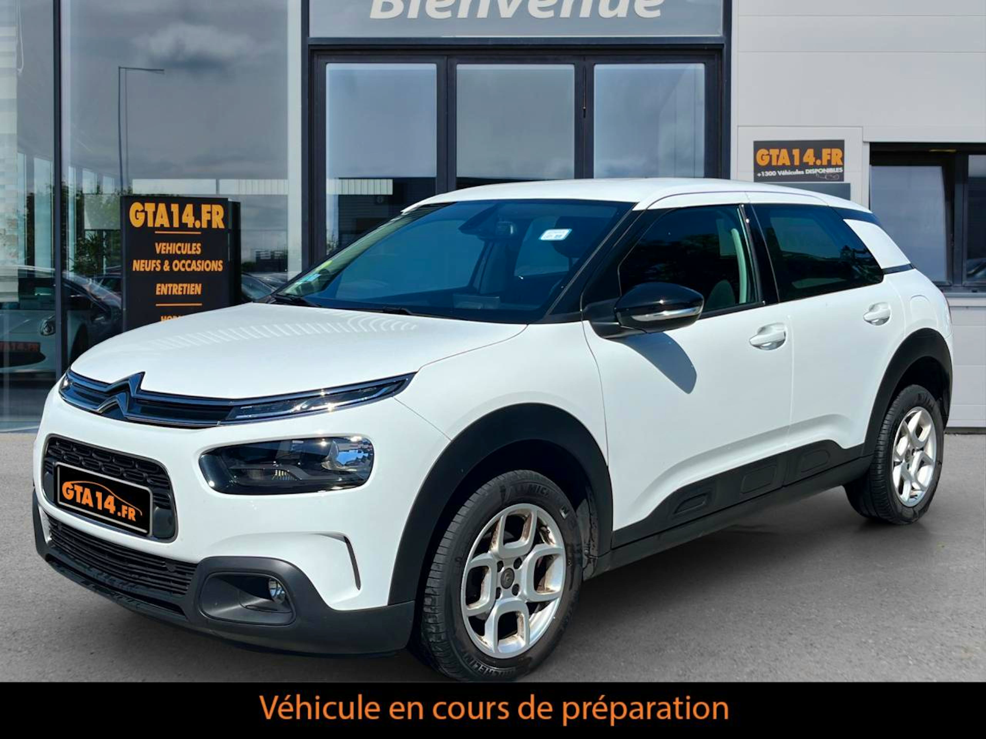 Citroën C4 Cactus BLUEHDI 100 S&S BVM6 FEEL NAV occasion