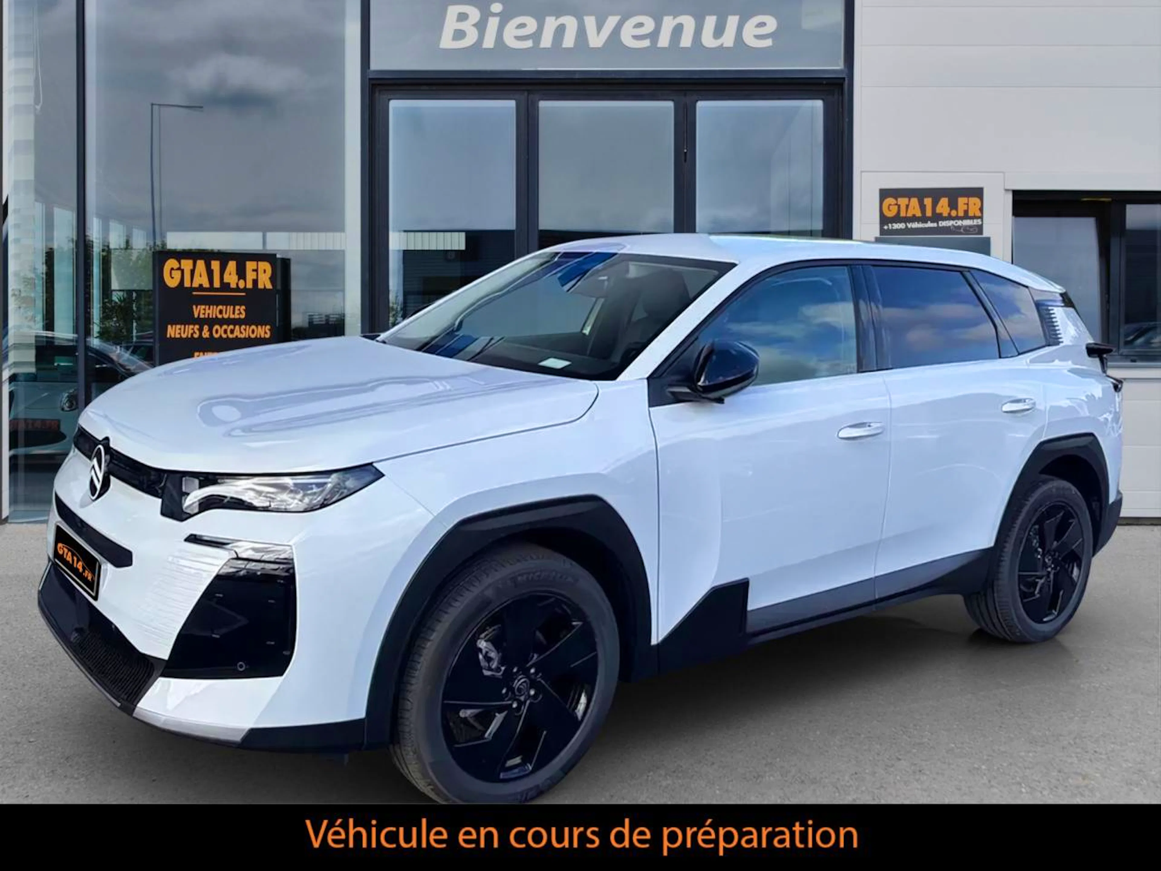 Citroën C5 Aircross Hybride 145 ch e-DCS6 Plus occasion