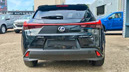 Lexus UX 250h 2WD Luxe occasion - Photo 6
