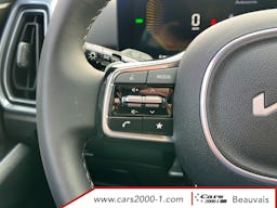 Kia Sorento 1.6 T-GDi 253ch Hybride Rechargeable 7 pl BVA6 4x4 Active Business occasion - Photo 27