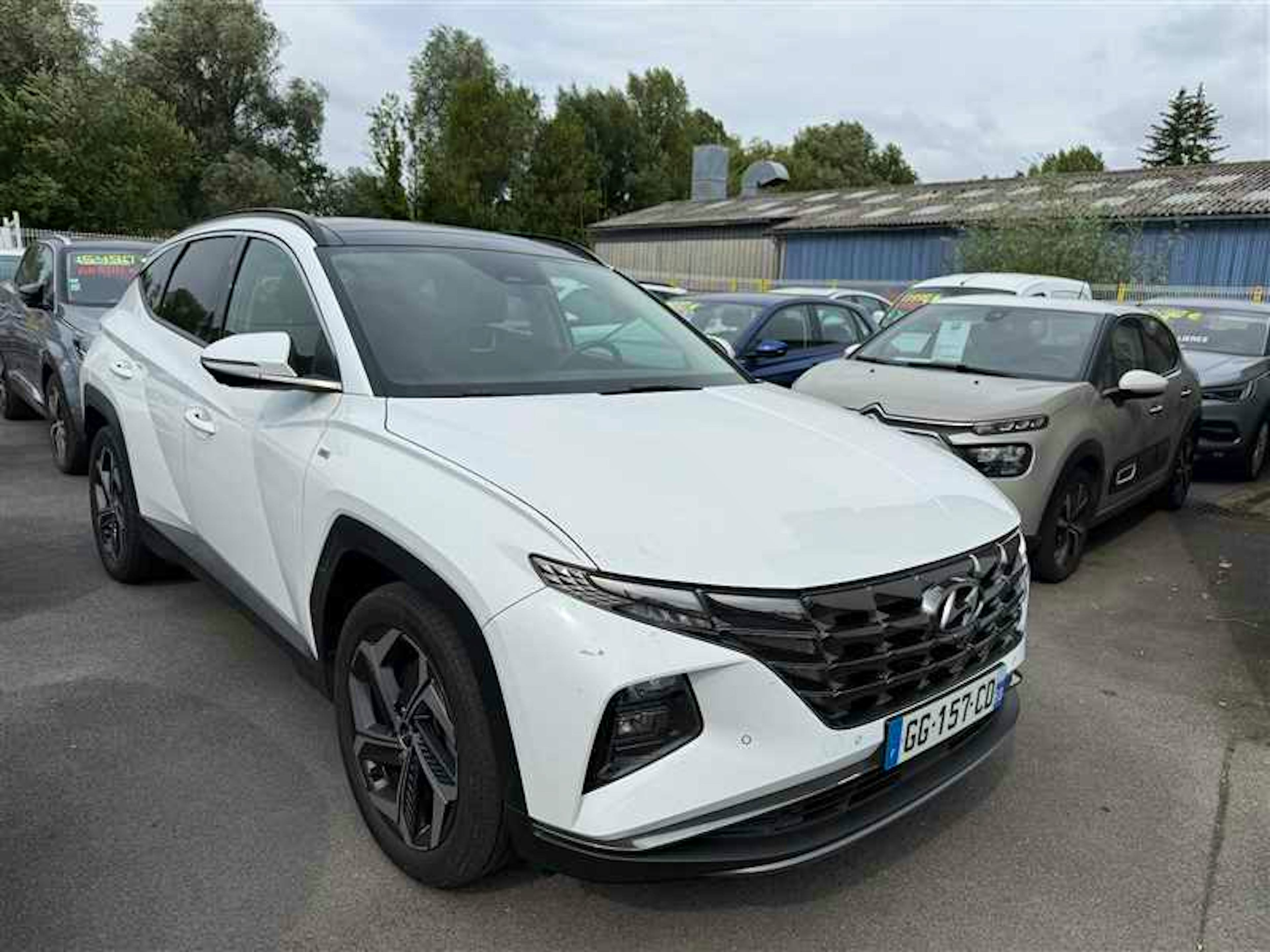Hyundai Tucson 1.6 CRDI136CV HYBRID 48V EXECUTIVE DCT7 occasion