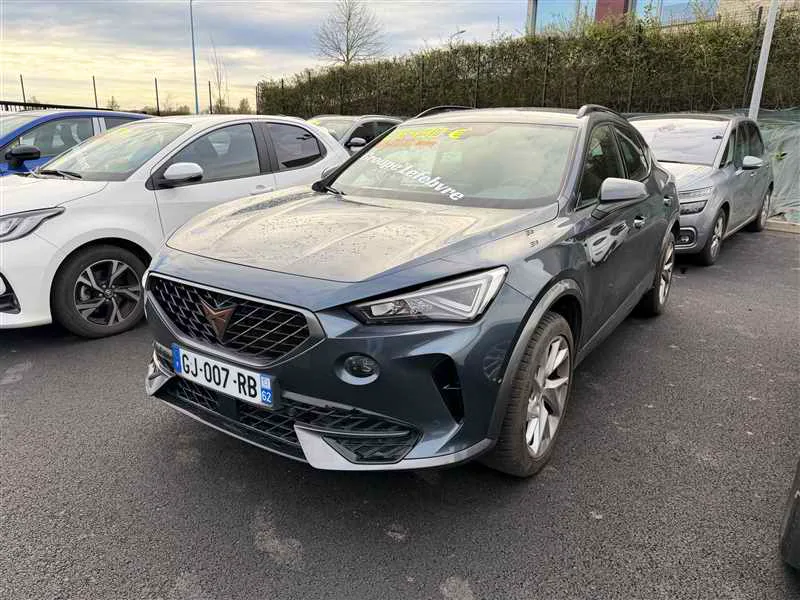 Cupra Formentor 2.0L TDI 150CV BUSINESS occasion