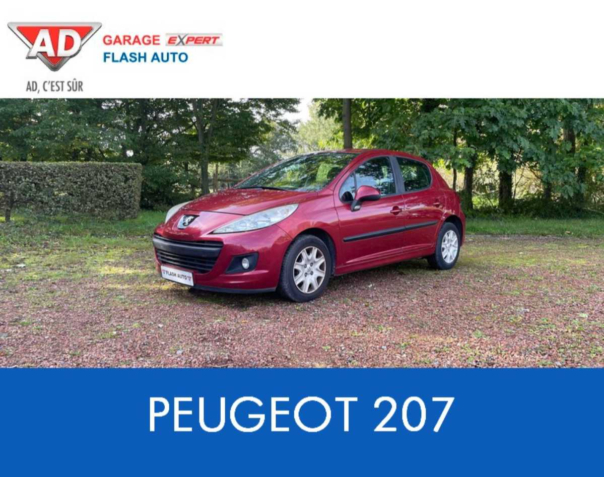 Peugeot 207 1.4 HDI BUSINESS occasion