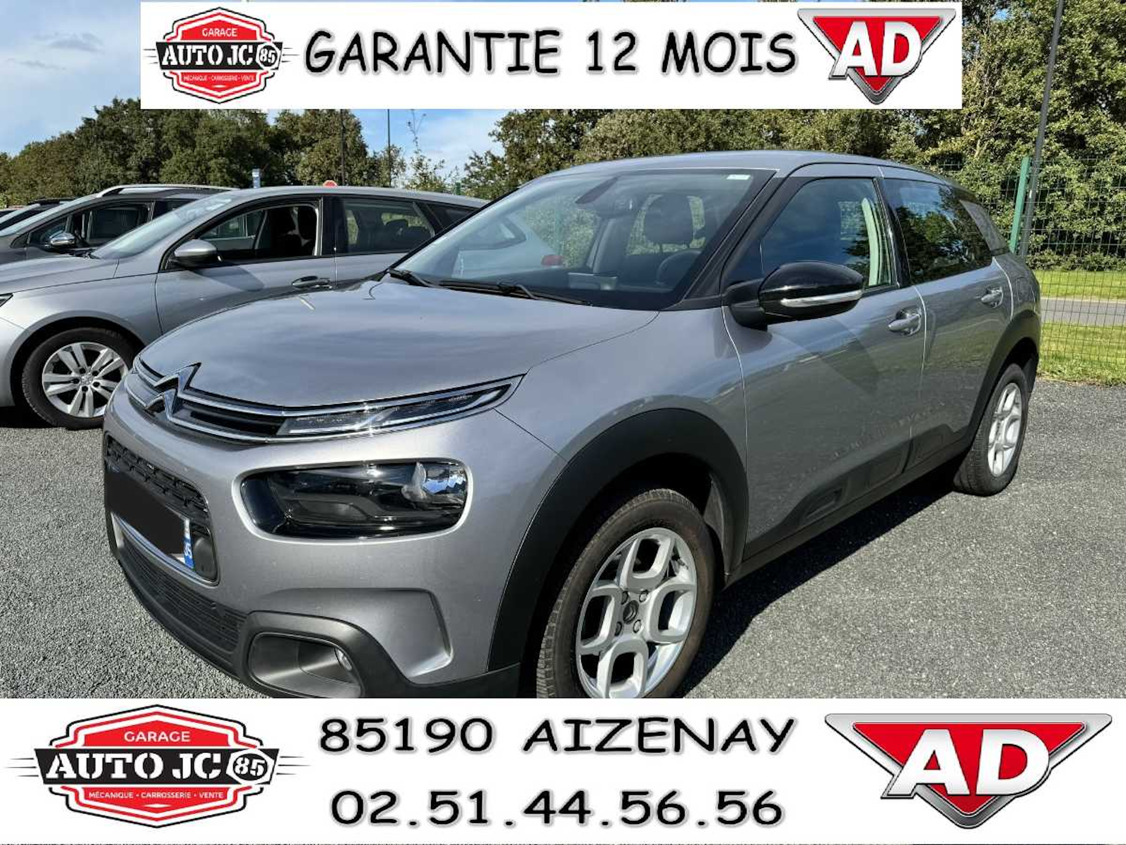 Citroën C4 Cactus SHINE BUSINESS + occasion