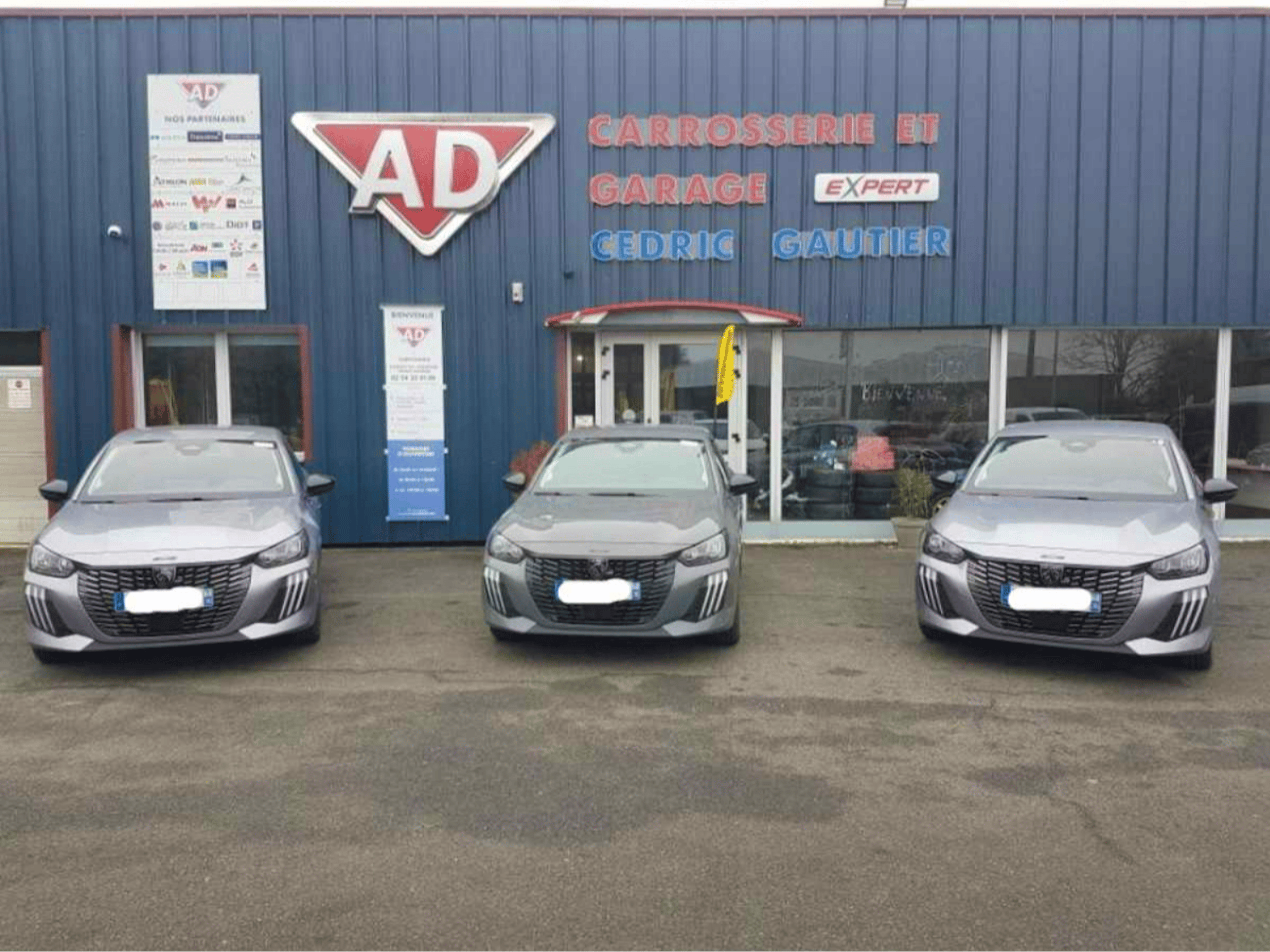 Peugeot 208 1.2 hybride 110 e-dcs6 occasion