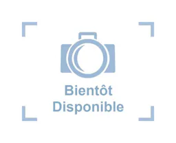 Renault Captur  II 1.5 BLUE DCI 95 INTENS occasion - Photo 1