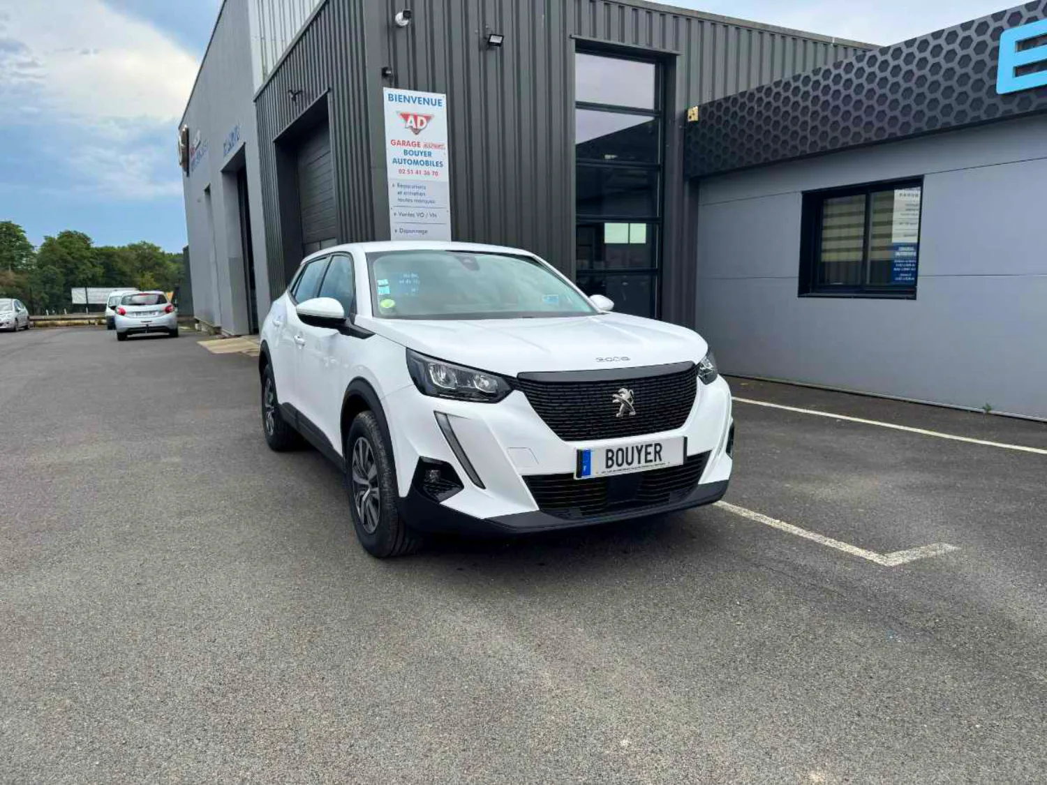 Peugeot 2008 ACTIVE BUSINESS occasion