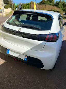 Peugeot 208 ACTIVE BUSINESS occasion - Photo 4