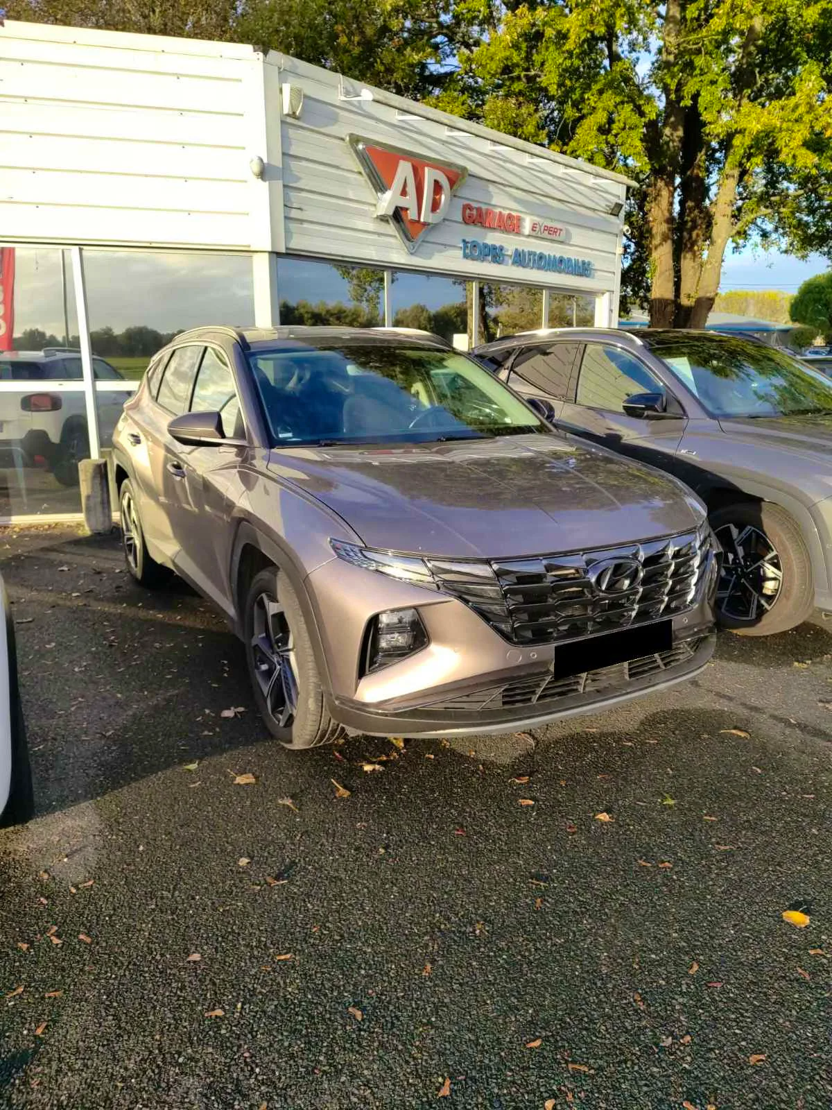 Hyundai Tucson 1.6 T-GDI 265 Plug-in Hybrid HTRAC BVA-6 DEPOT VENTE occasion