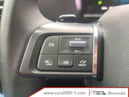 Citroën C4 X  PureTech 130 S&S EAT8 Shine occasion - Photo 12