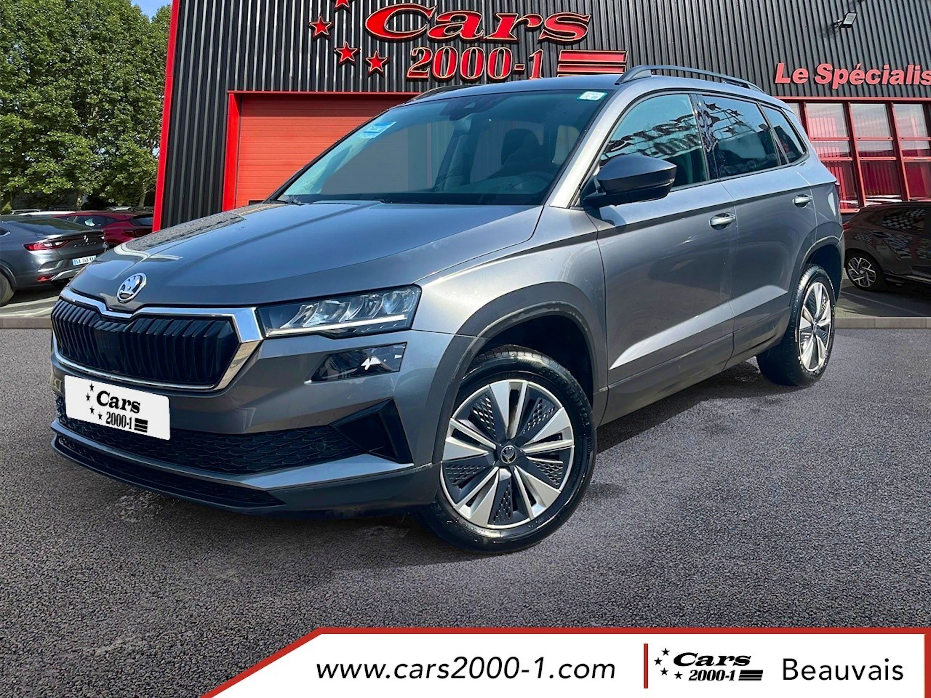 Skoda Karoq 2.0 TDI 116 ch SCR DSG7 Business occasion
