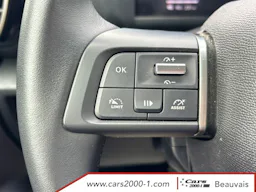 Citroën ë-C4X  156 ch autonomie etendue Plus occasion - Photo 12