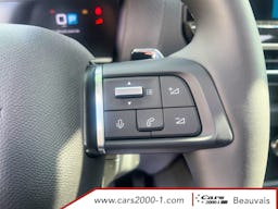 Citroën C4 X  BlueHDi 130 S&S EAT8 Max occasion - Photo 23