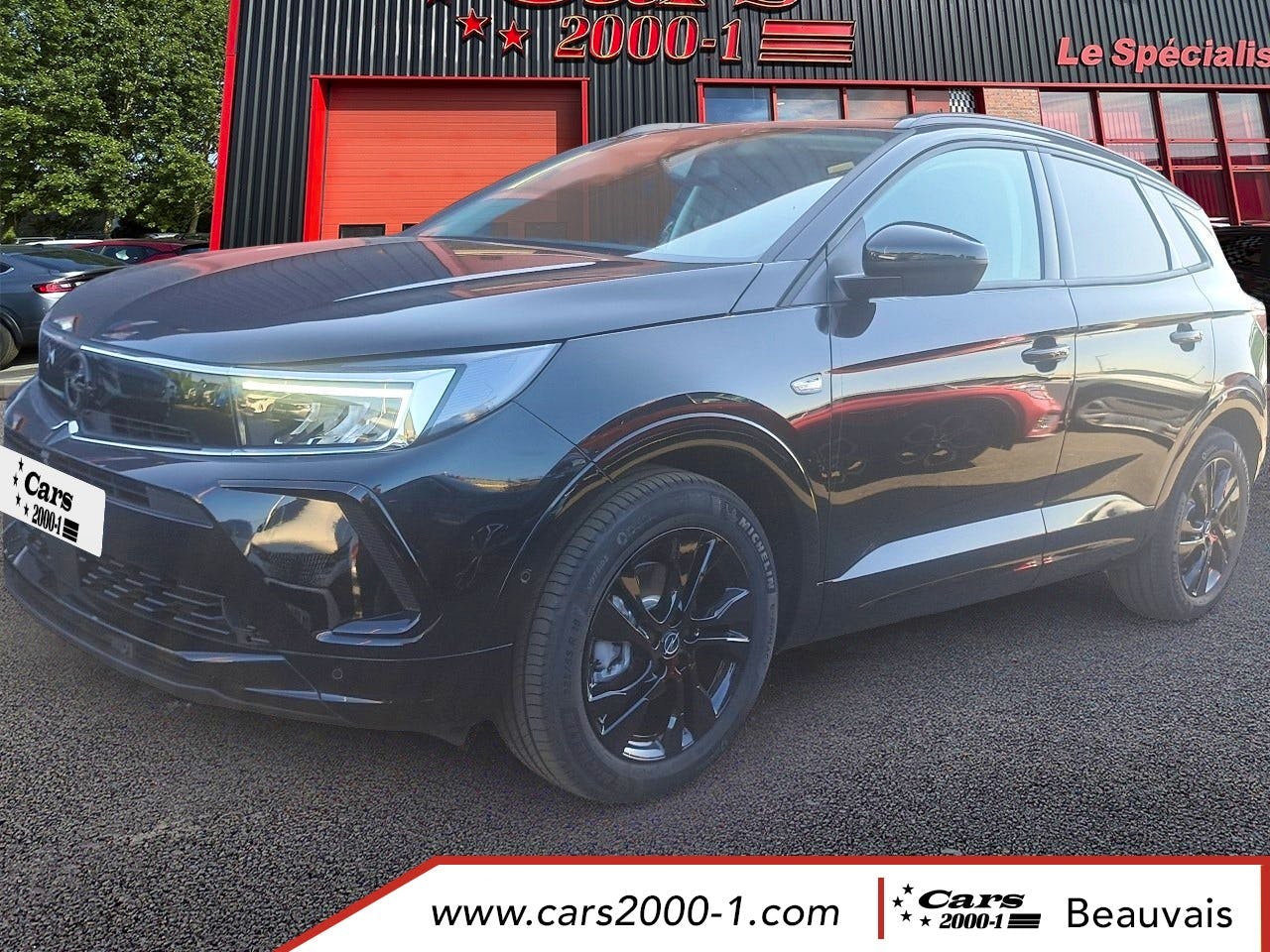 Opel Grandland 1.2 Turbo 130 ch GS occasion